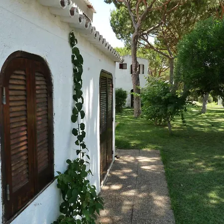 Algarve Cozy For 4 Albufeira